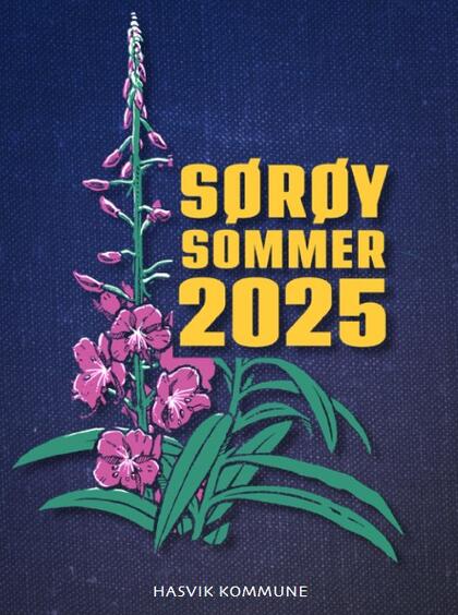 Sørøysommer 2025
