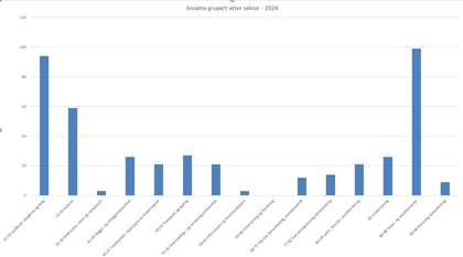 Ansatte gruppert etter sektor 2024