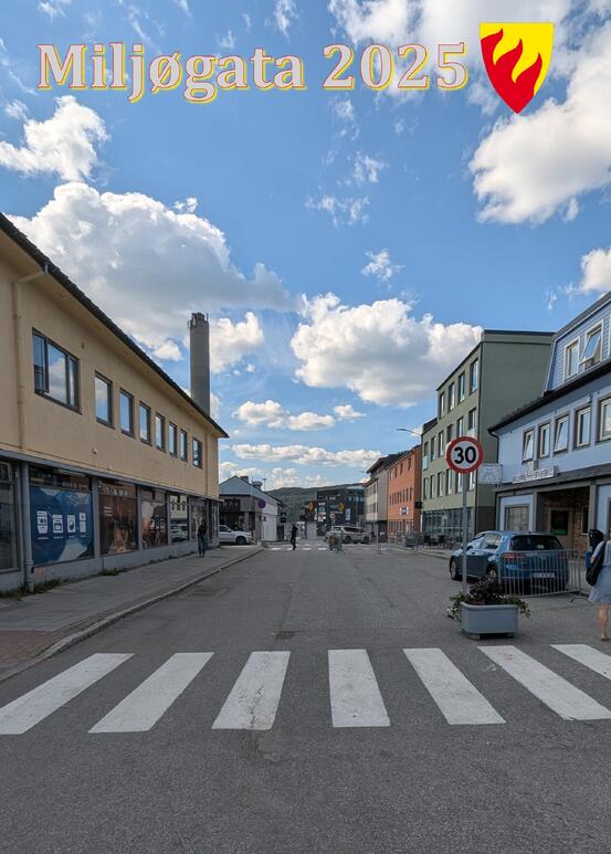 miljøgata 2025
