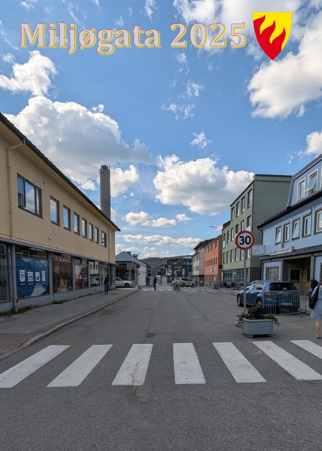 miljøgata 2025