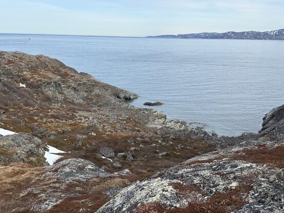 Foto: Erling Haugan