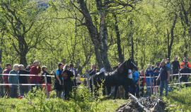 Galileo på vei inn til slipp-plassen i Bristol for å møte sitt hoppefølge under årest slipp.