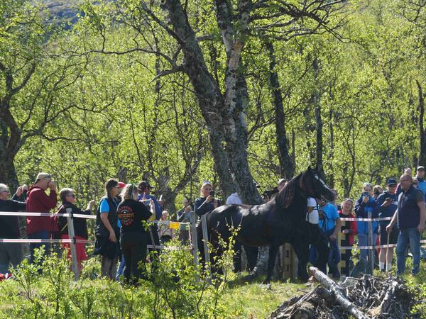 Galileo på vei inn til slipp-plassen i Bristol for å møte sitt hoppefølge under årest slipp.