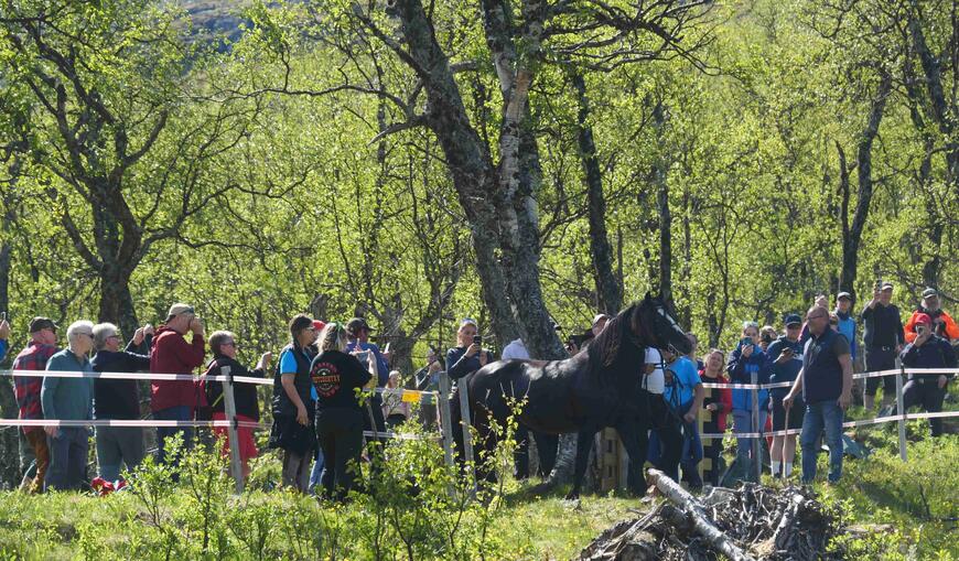 Galileo på vei inn til slipp-plassen i Bristol for å møte sitt hoppefølge under årest slipp.