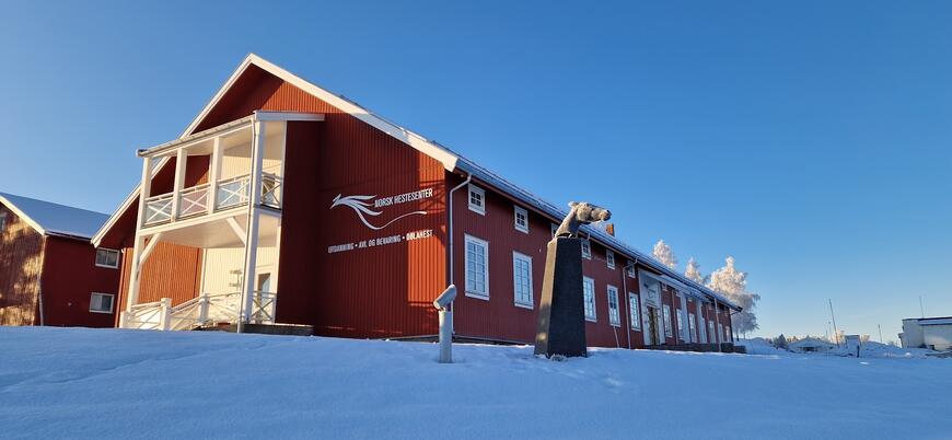 Norsk Hestesenter søker ekstrahjelp i stallen jula 2025 Norsk Hestesenter søker ekstrahjelp i stallen jula 2025