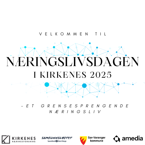 Logo forslag 1A - blå nettverk