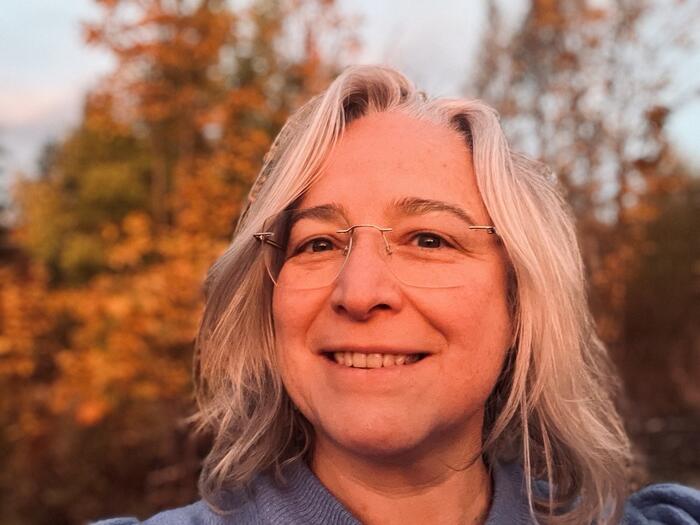 Inge Lauwers Portrett av en kvinne