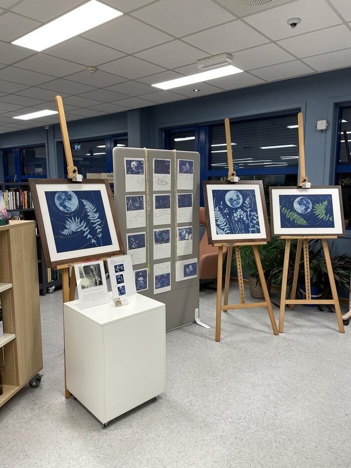 Utstilling Foto av utstilte bilder