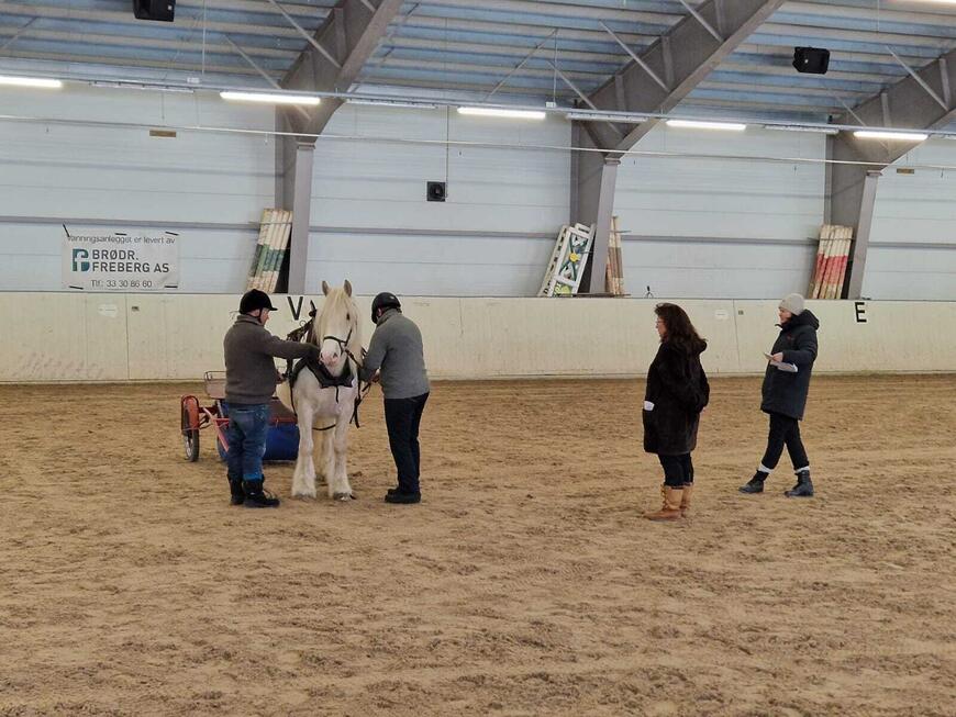 Bruksprøvedag på Norsk Hestesenter mars 2024.