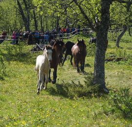 Bilde fra slippet i Bristol i Sikkilsdalen 2025.