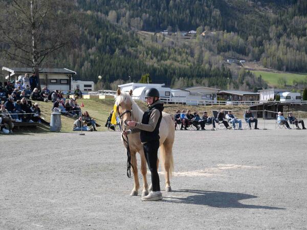 Vårinns Arv ble kåret og sto som I i kvalitet i klasse 3 på hingsteutstillingen på Stavsplassen i 2025.