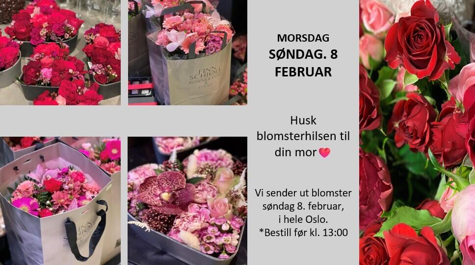 MORSDAG NY 8 februar NETT 
