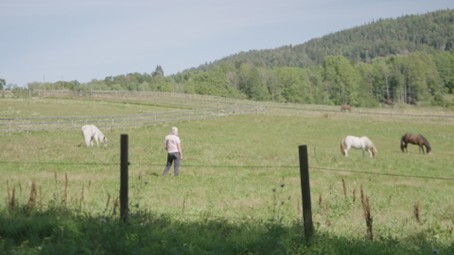 Godkjent Hestevirksomhet_deltager.jpg