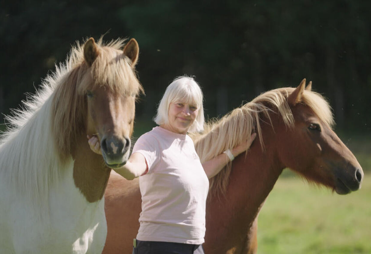 Bergvang besøksgård