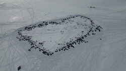 Kåfjordpilken 2026 Takk til Karl Magne Bergland for bilde.