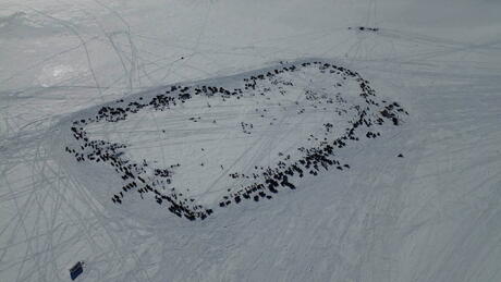Kåfjordpilken 2026 Takk til Karl Magne Bergland for bilde.
