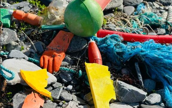 rydding - strand 2026