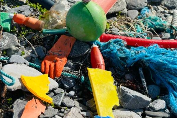 rydding - strand 2026