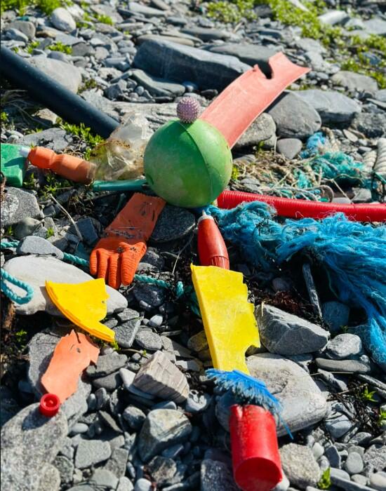 rydding - strand 2026