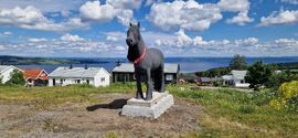 Skardølen