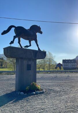 Fjordheststatuen har ønsket flotte representanter for rasen velkommen denne uka.