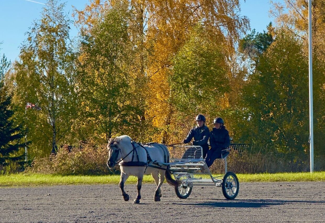 Et møtepunkt for faglig utvikling og pedagogisk inspirasjon Et møtepunkt for faglig utvikling og pedagogisk inspirasjon