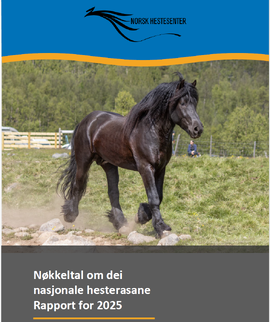Nøkkeltalsrapport 2025