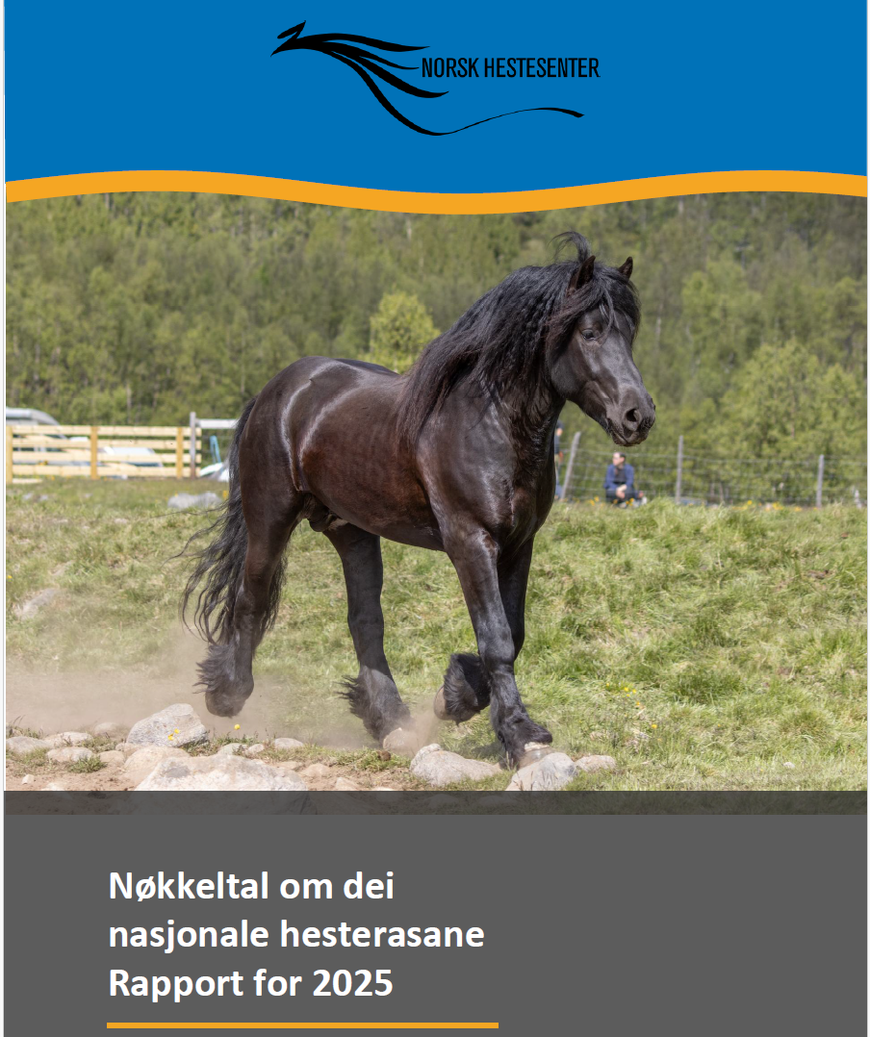 Nøkkeltalsrapport 2025