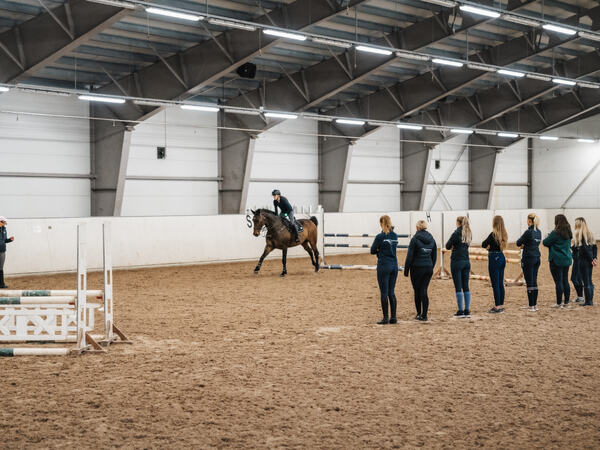 Norsk Hestesenter er alene i Norge om å tilby ridelærerutdanning, og det er stor etterspørsel etter faglærte ridelærere over hele landet. Norsk Hestesenter er alene i Norge om å tilby ridelærerutdanning, og det er stor etterspørsel etter faglærte ridelærere over hele landet.