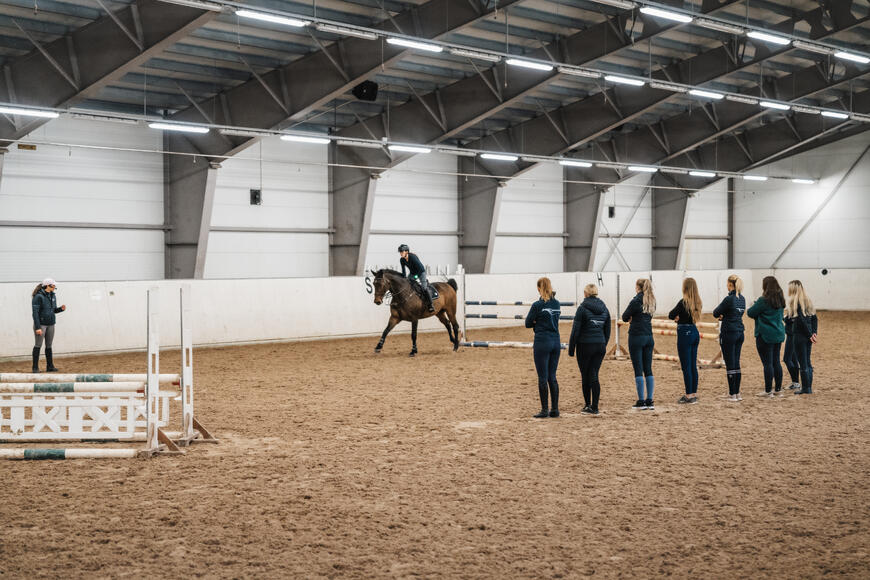 Norsk Hestesenter er alene i Norge om å tilby ridelærerutdanning, og det er stor etterspørsel etter faglærte ridelærere over hele landet.
