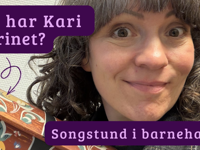 kva har Kari i skrinet