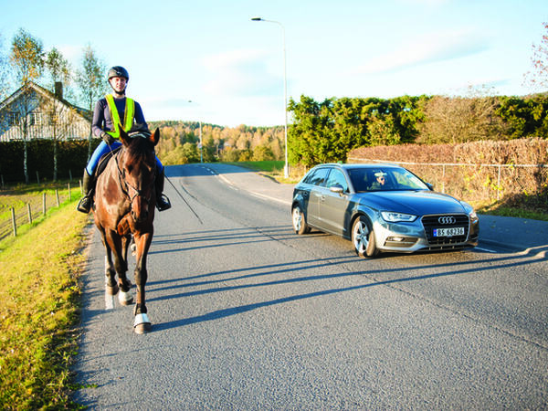 Sikker samhandling mellom hest og andre trafikanter er tema i den pågående høringen om hest i trafikken. Hesteekvipasje og personbil i trafikken på offentlig vei. Bildet illustrerer samspill mellom hest og motorisert trafikk