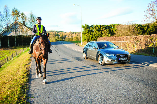 Sikker samhandling mellom hest og andre trafikanter er tema i den pågående høringen om hest i trafikken. Hesteekvipasje og personbil i trafikken på offentlig vei. Bildet illustrerer samspill mellom hest og motorisert trafikk