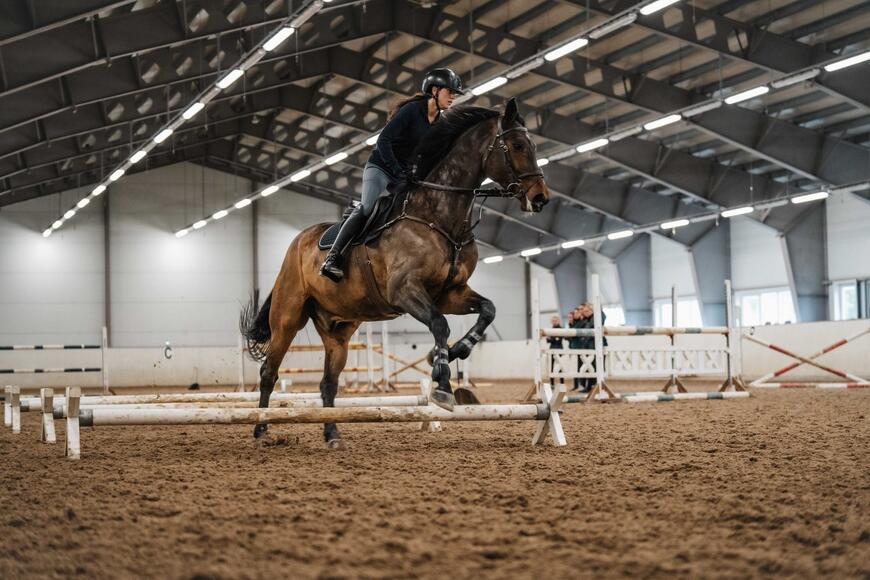 Samme sletter, nye stemmer – undervisning på Starum · Foto: Norsk Hestesenters arkiv Samme sletter, nye stemmer – undervisning på Starum · Foto: Norsk Hestesenters arkiv