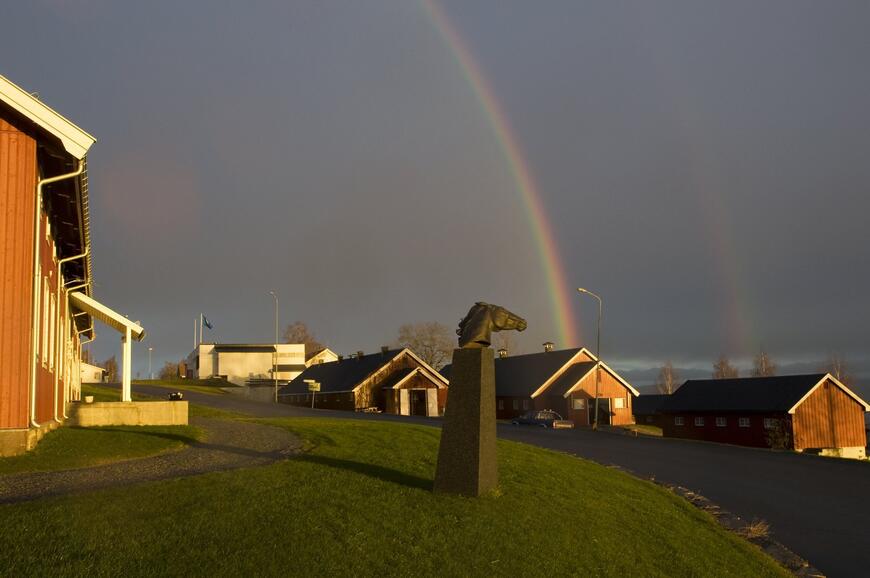 Starum · Foto: Norsk Hestesenters arkiv Starum · Foto: Norsk Hestesenters arkiv
