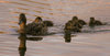  1787324099551101