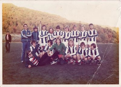 1978 farger
