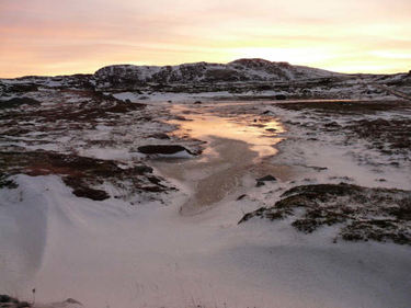 Vinter på Ingøya. Alle foto: Erling Skarv Johansen