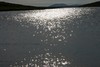  1756101679730145