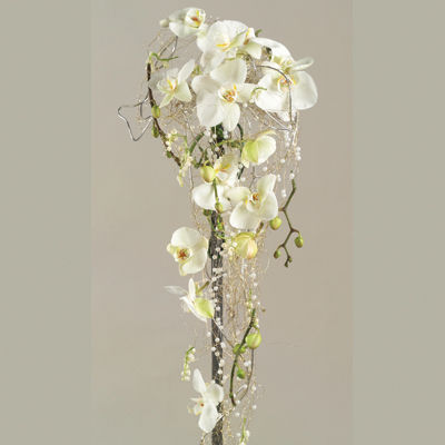 hvit orkideer[2]