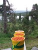 Multelandet Skjækerfjella